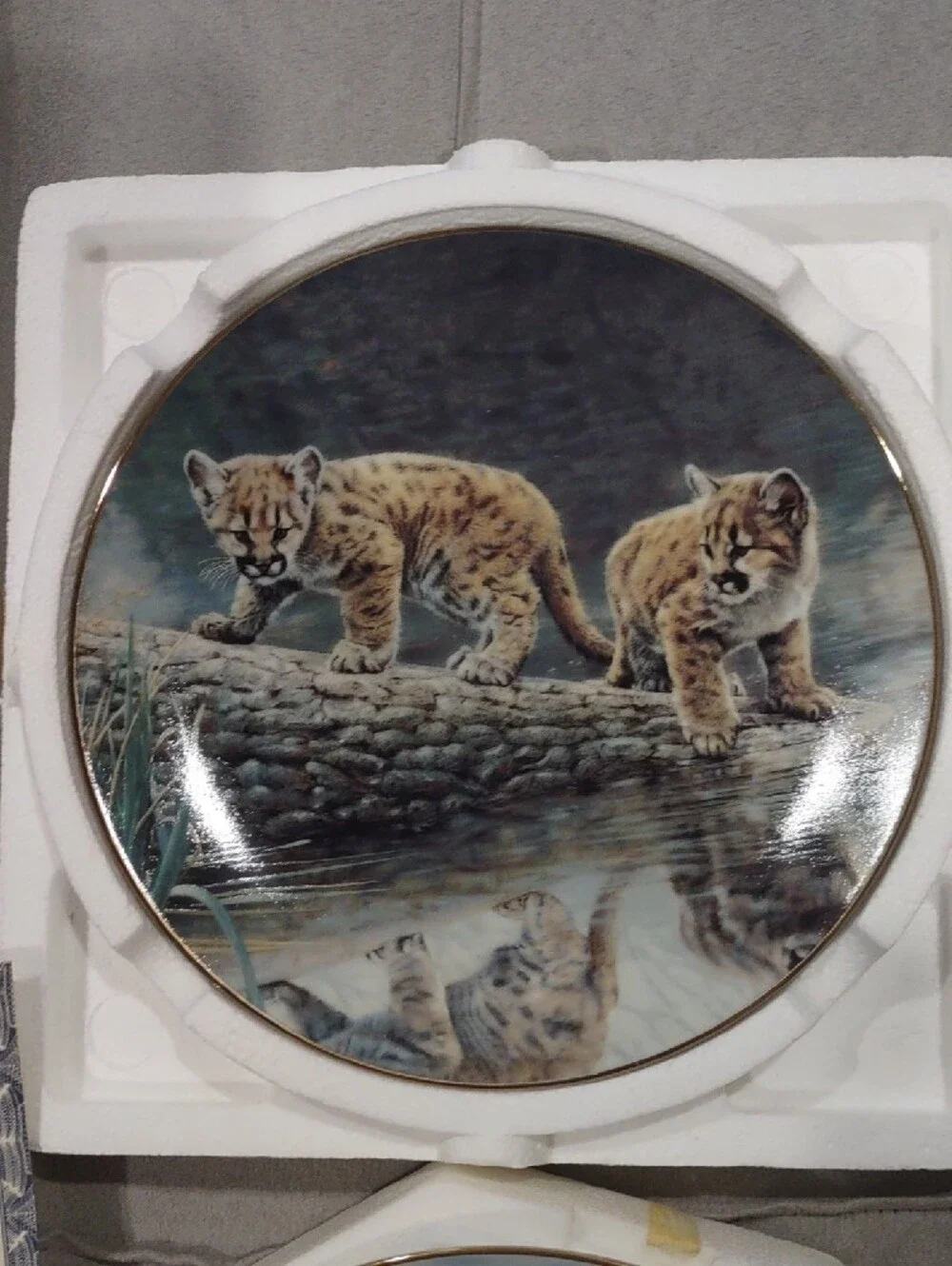 Wildlife Decorative Plates Cat Designs Charles Frace